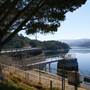 Crystal Springs Dam