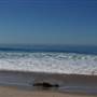 Zuma Beach - County / FilmLA