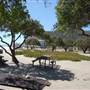 Sycamore Cove State Beach (SB) & Campground @ Point Mugu State Park (SP) - CFC