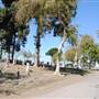Angelus-Rosedale Cemetery