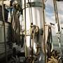 Los Angeles Maritime Institute (Irving Johnson/ Exy Johnson/ American Pride/ Swift of Ipswich)