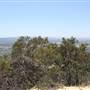 Stough Canyon Nature Center