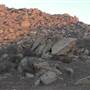 Upland Game Hunting Area - California Department of Fish and Wildlife (CDFW)