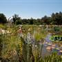 California State University, Northridge - CSUN (All Buildings & Facilities)