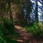 San Bruno Mountain State Park (SP)