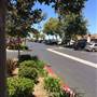 Felicita Plaza - Brixmor Property Group