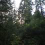 Palomar Mountain State Park (SP)