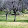Bogart Regional Park