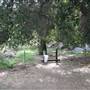 Harford Springs Park