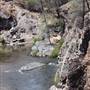 Clear Creek Gorge and Overlook