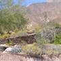 Anza-Borrego Desert State Park (SP)
