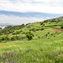 Benicia State Recreation Area (SRA)