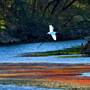 Bidwell-Sacramento River State Park (SP)