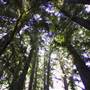 Bothe-Napa Valley State Park (SP)