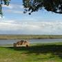 Brannan Island State Recreation Area (SRA)