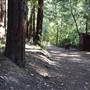 Butano State Park (SP)