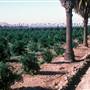 California Citrus State Historic Park (SHP)