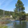 Donner Memorial State Park (SP)  / Donner Lake
