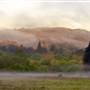 Henry Cowell Redwoods State Park (SP)