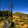 Hungry Valley State Vehicle Recreation Area - SVRA