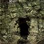 Limekiln State Park (SP)