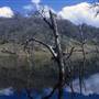Henry W. Coe State Park (SP)