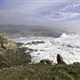 Salt Point State Park (SP)