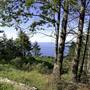 Sinkyone Wilderness State Park (SP)