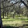 Anderson Marsh State Historic Park (SHP)