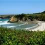Jug Handle State Natural Reserve (SNR)