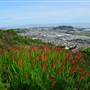 San Bruno Mountain State Park (SP)