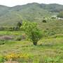 San Bruno Mountain State Park (SP)