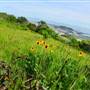 San Bruno Mountain State Park (SP)