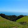Mount Tamalpais State Park (SP)