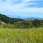Mount Tamalpais State Park (SP)