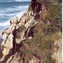 Montara State Beach (SB)