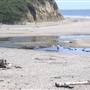 San Gregorio State Beach (SB)