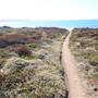 Montana de Oro State Park (SP)