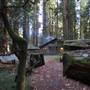 Richardson Grove State Park (SP)