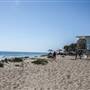 Sycamore Cove State Beach (SB) & Campground @ Point Mugu State Park (SP) - CFC