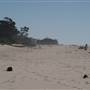 Carpinteria State Beach (SB)
