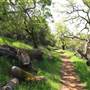 Trione-Annadel State Park (SP)