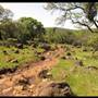 Trione-Annadel State Park (SP)