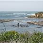 Año  Nuevo State Park (SP)