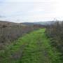 Benicia State Recreation Area (SRA)