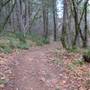 Bothe-Napa Valley State Park (SP)