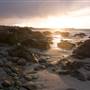 Asilomar State Beach and Conference Grounds