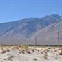 Olancha Sand Dunes - Bureau of Land Management - California Desert District - Ridgecrest Field Office - BLM - Off Highway Vehicle Area - OHV