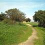 Candlestick Point State Recreation Area (SRA)