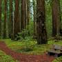 Hendy Woods State Park (SP)